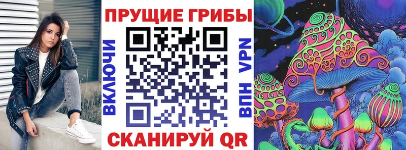 Купить закладки Неман Псилоцибиновые грибы мицелий